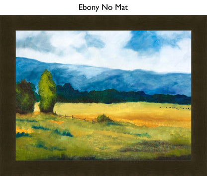 Ebony No Mat