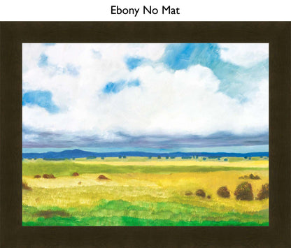 Ebony No Mat