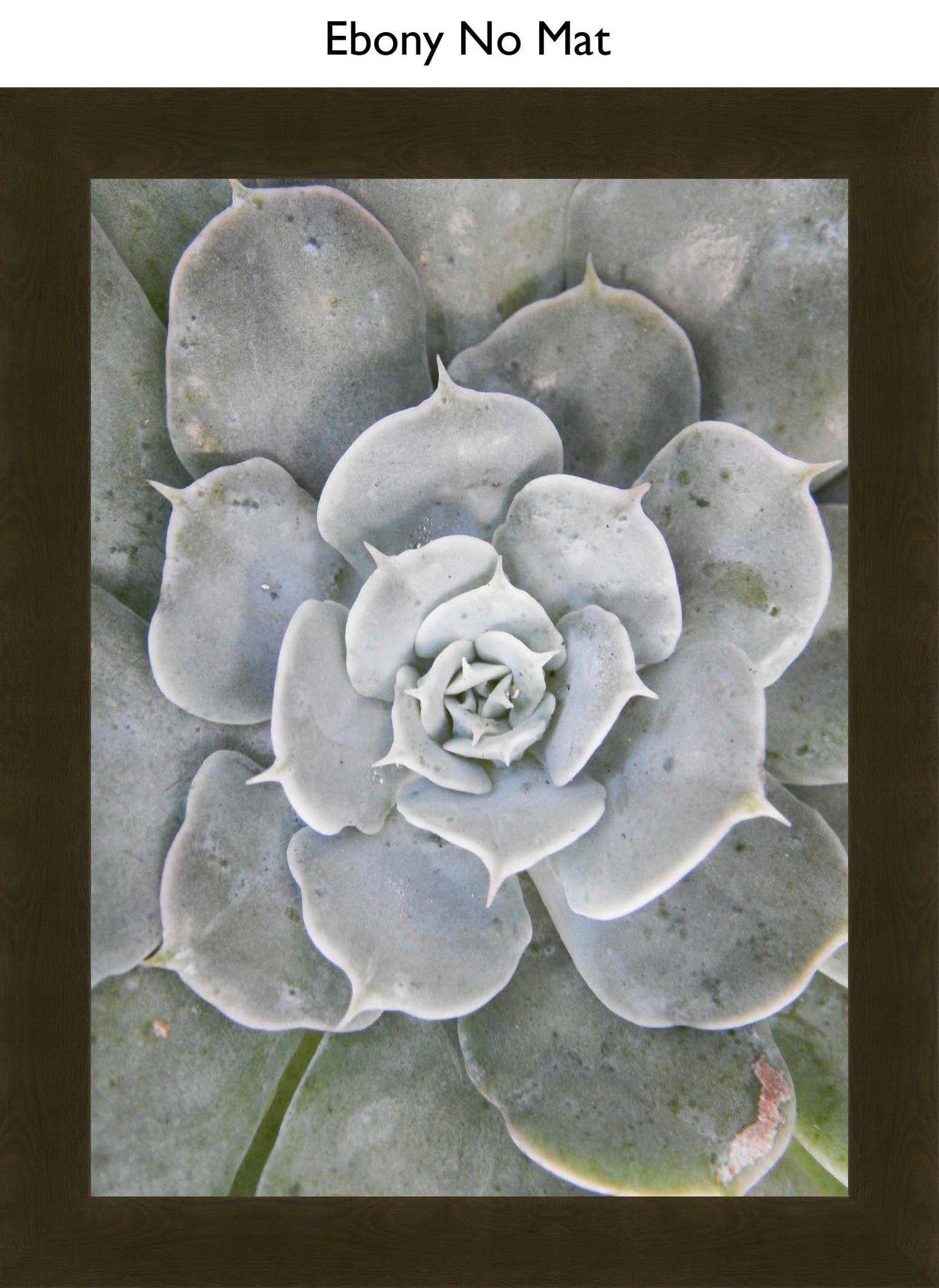 Ebony No Mat
