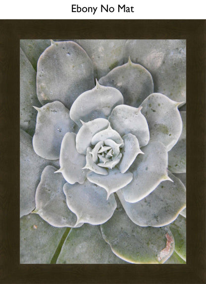 Ebony No Mat