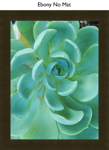 Ebony No Mat