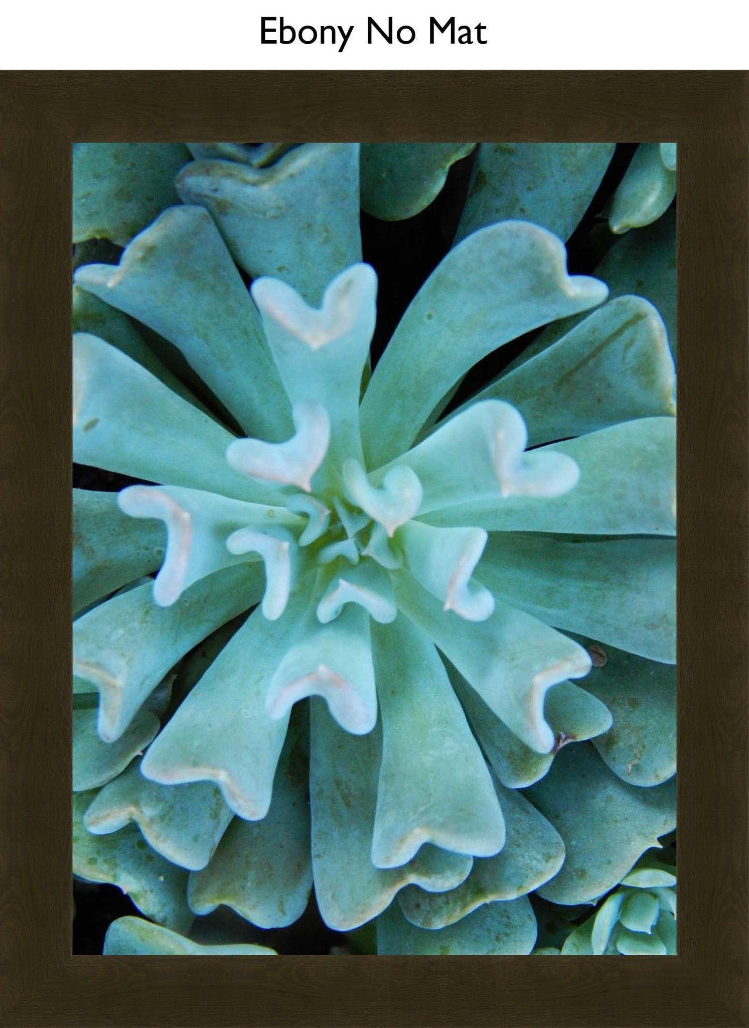 Ebony No Mat