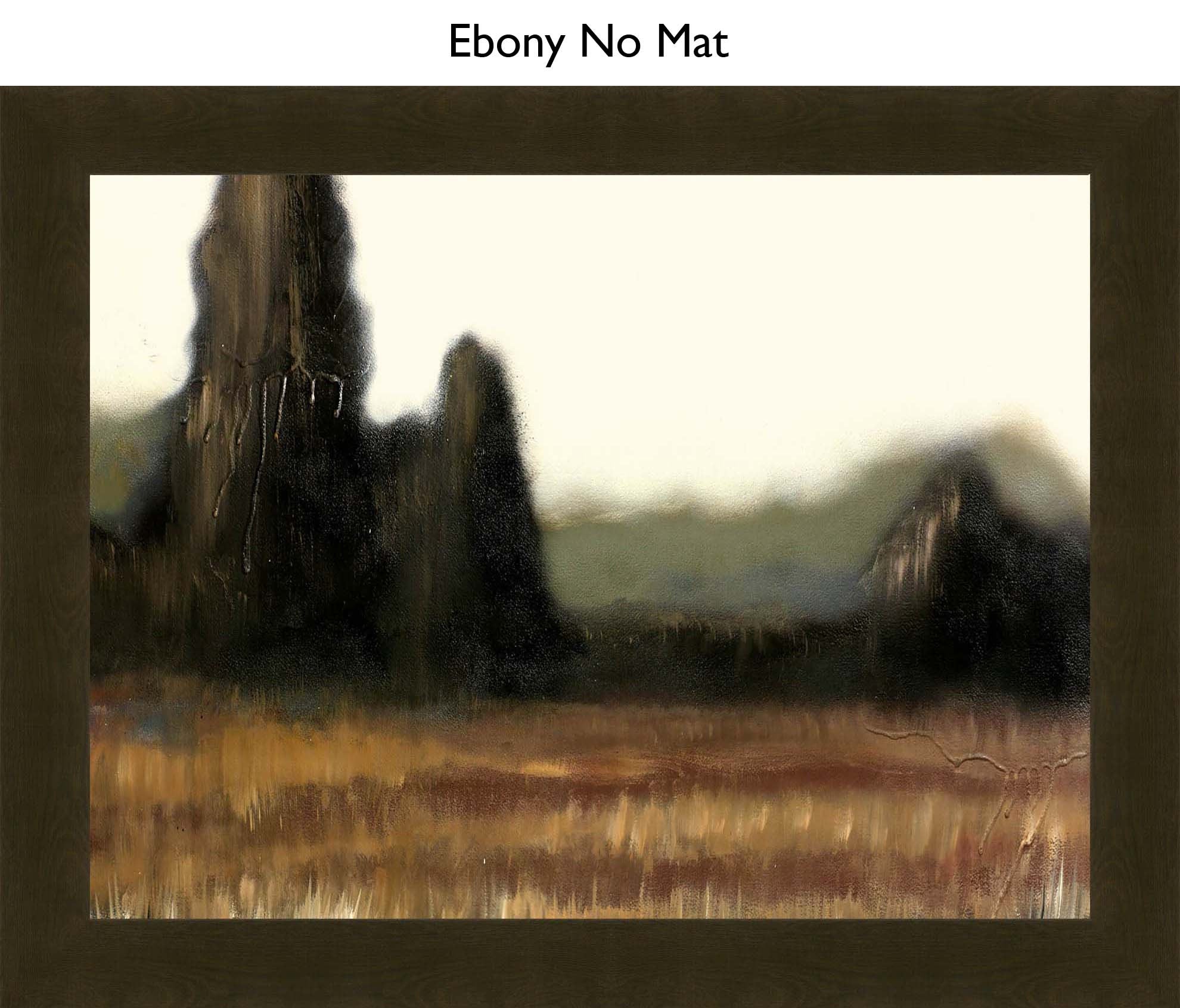 Ebony No Mat