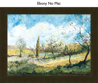 Ebony No Mat