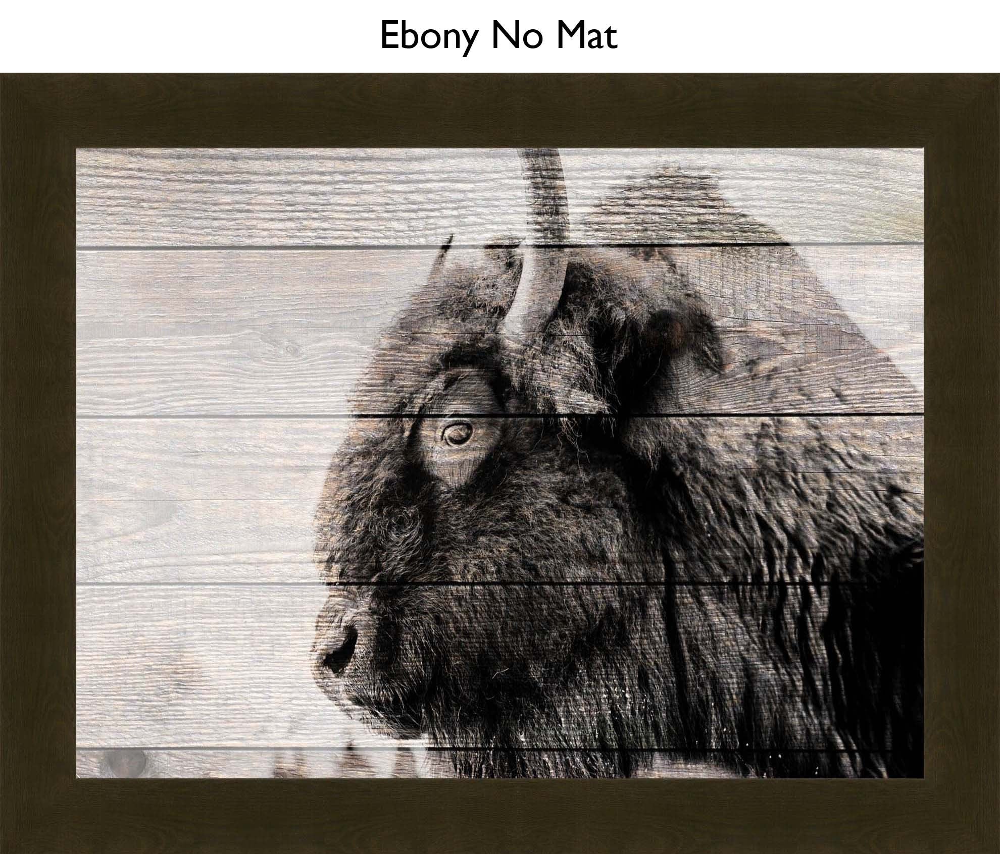 Ebony No Mat