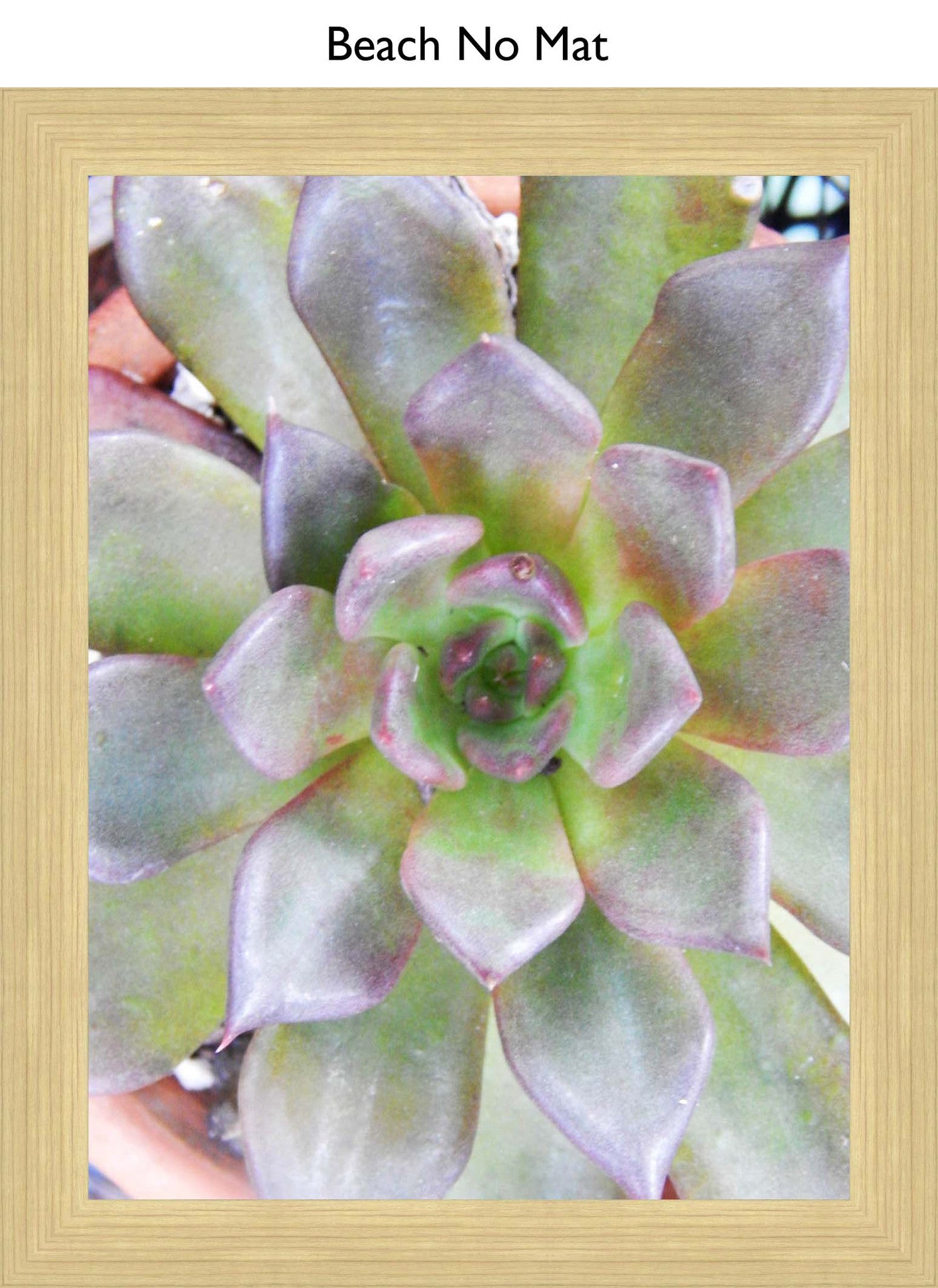 Beach No Mat