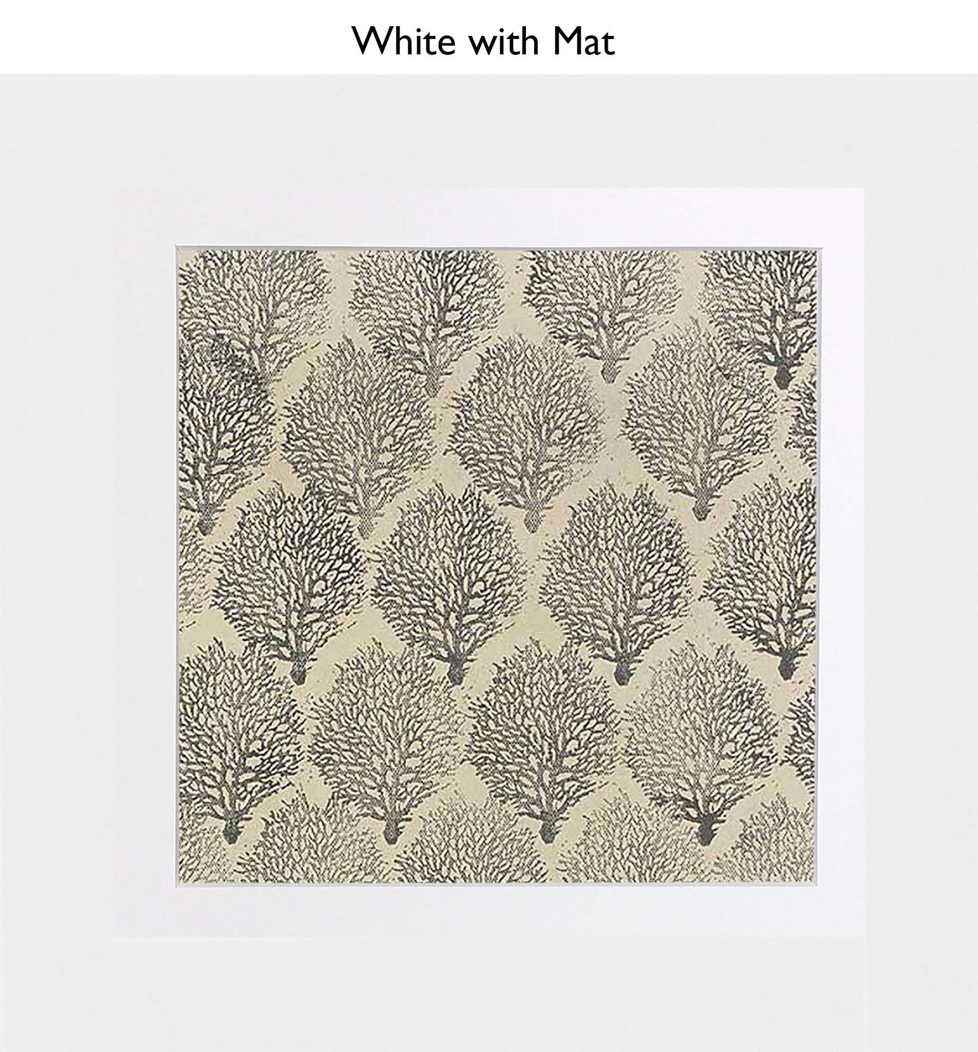 White With Mat