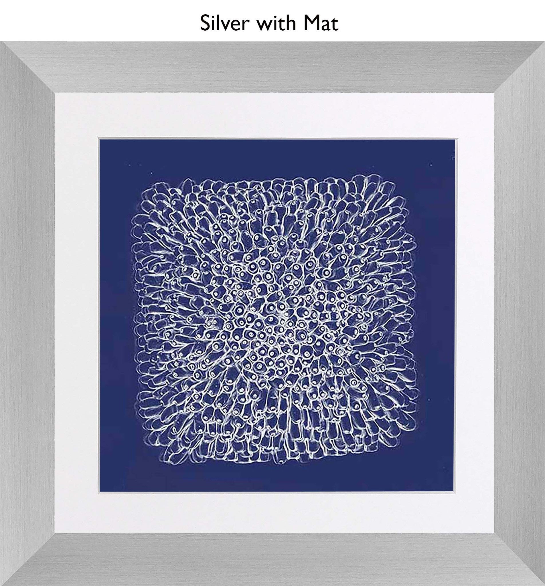 Silver With Mat