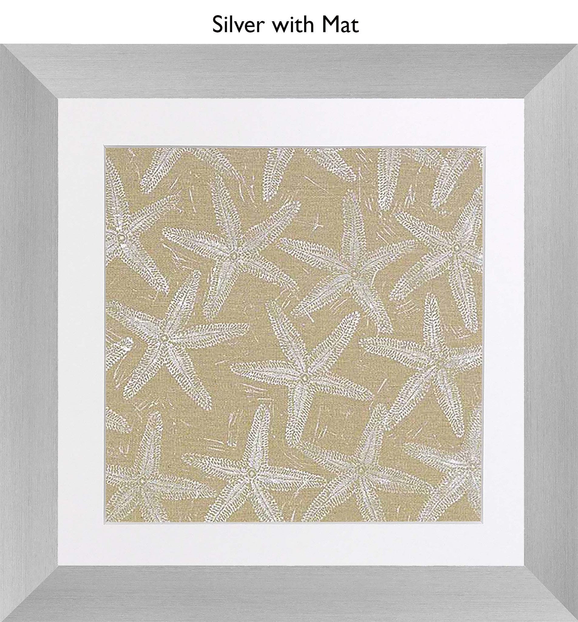 Silver With Mat
