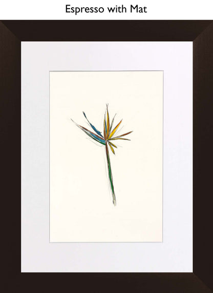 Espresso With Mat