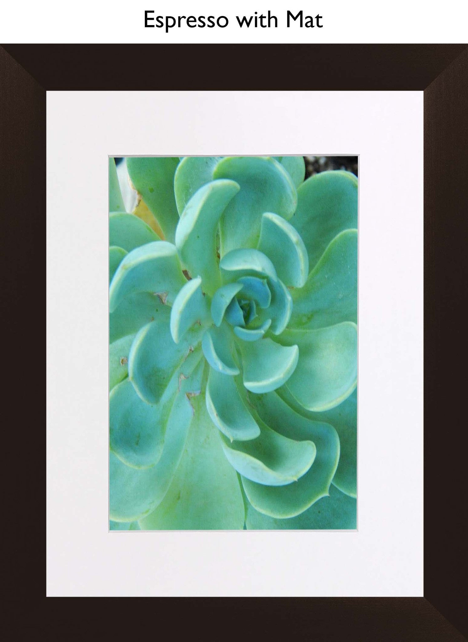 Espresso With Mat