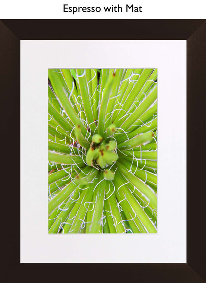 Espresso With Mat