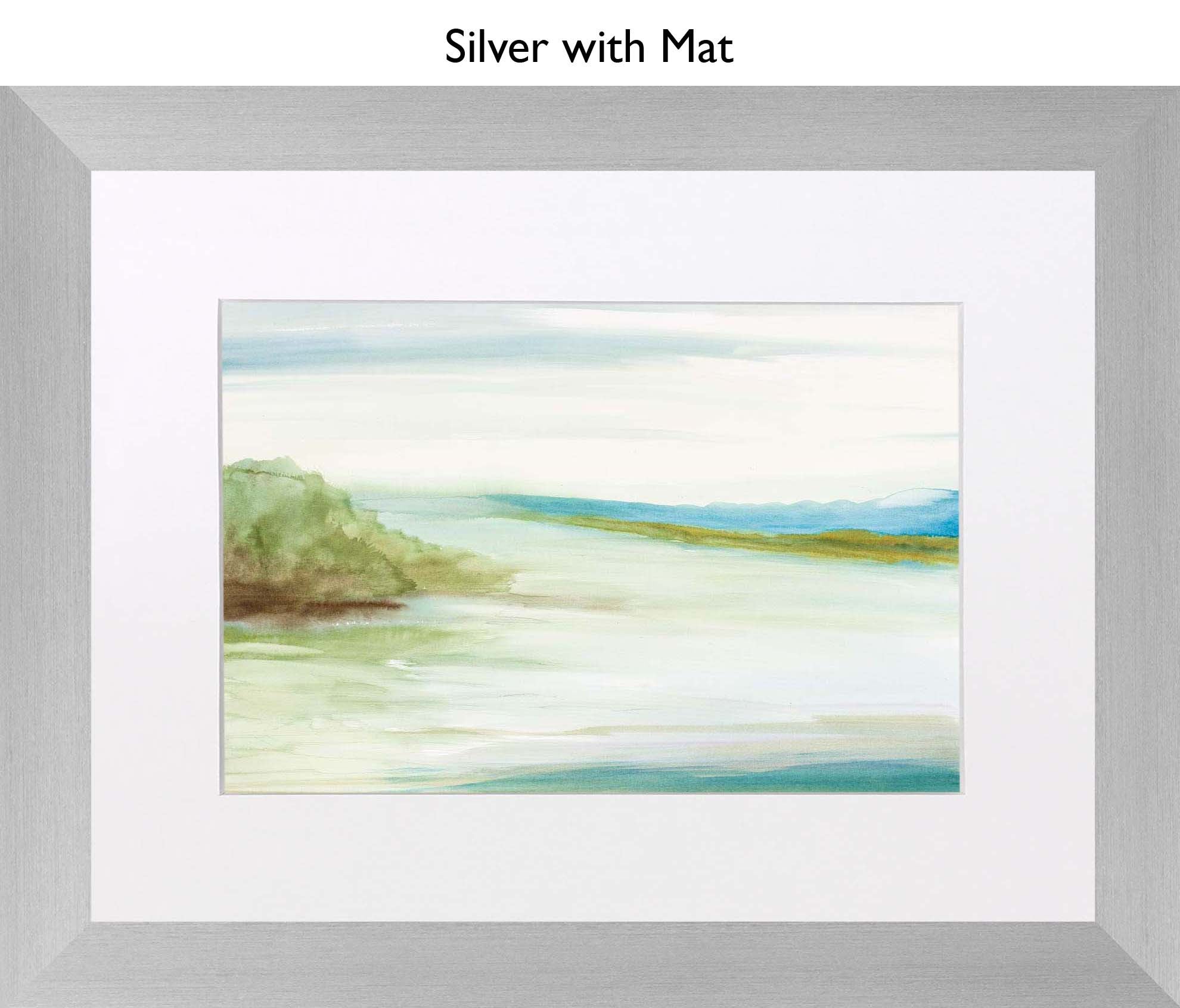 Silver With Mat