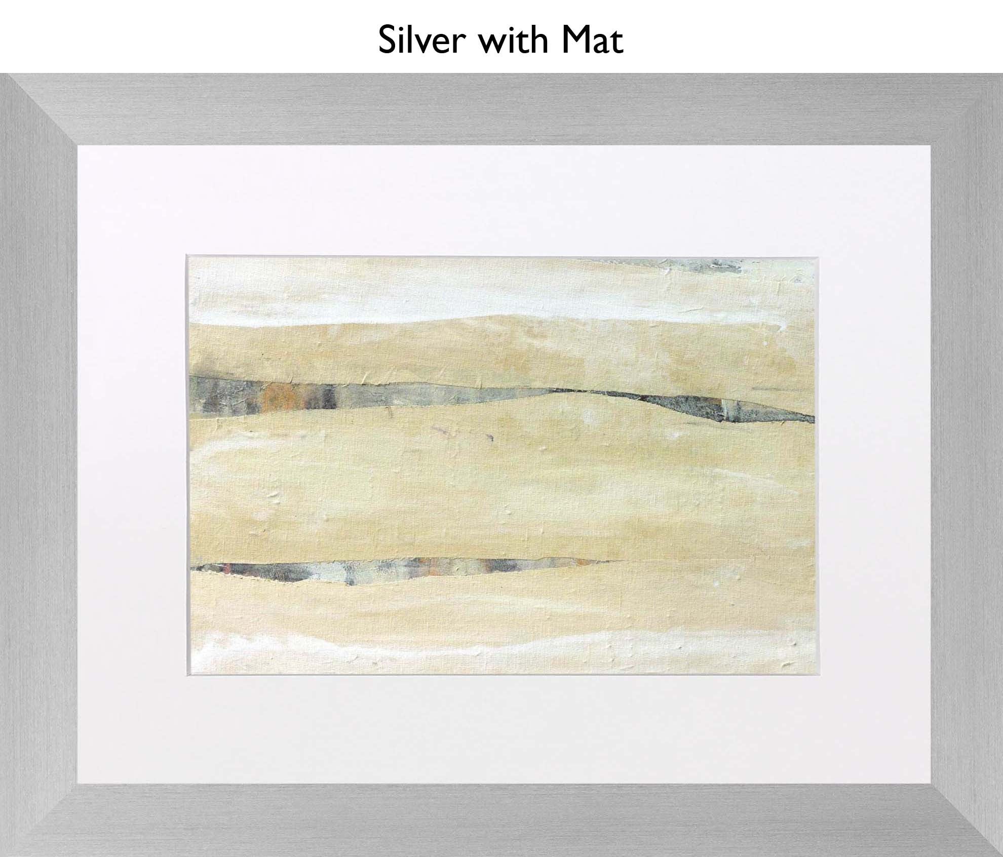 Silver With Mat
