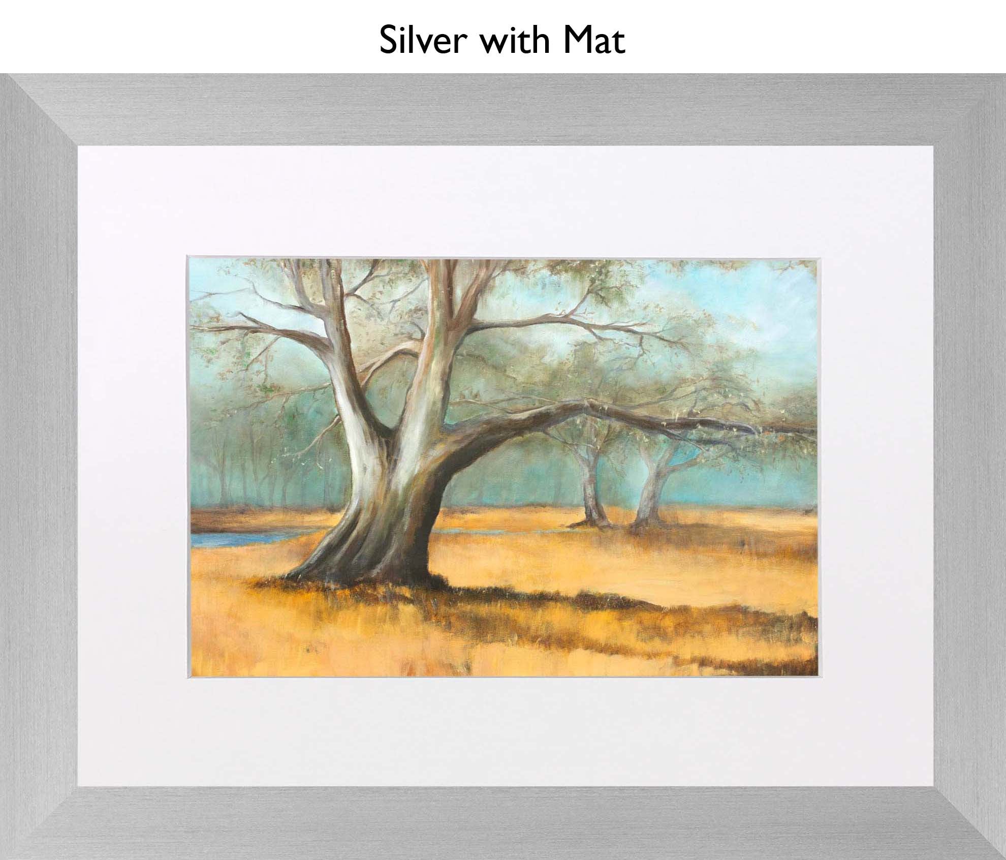 Silver With Mat