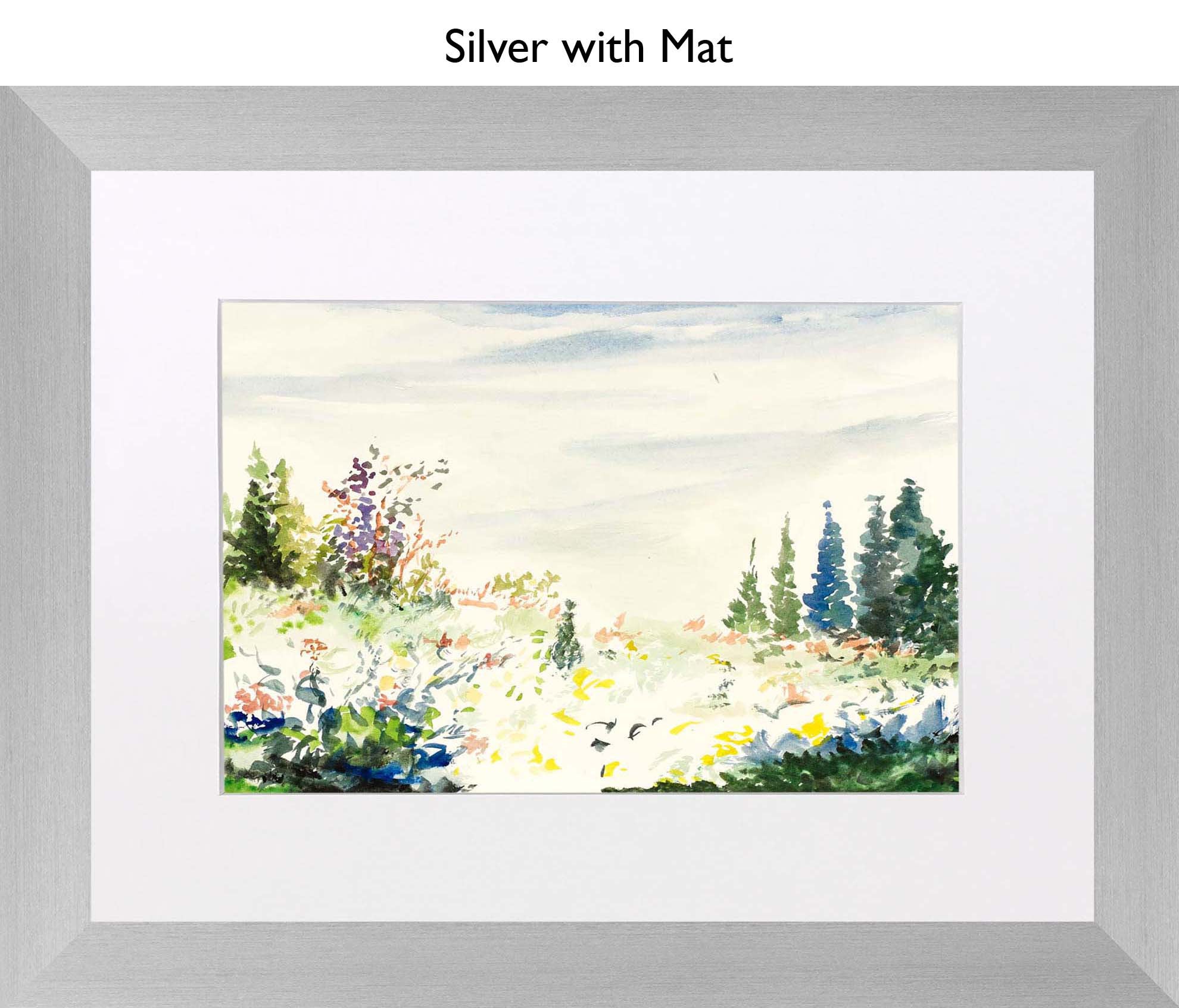 Silver With Mat