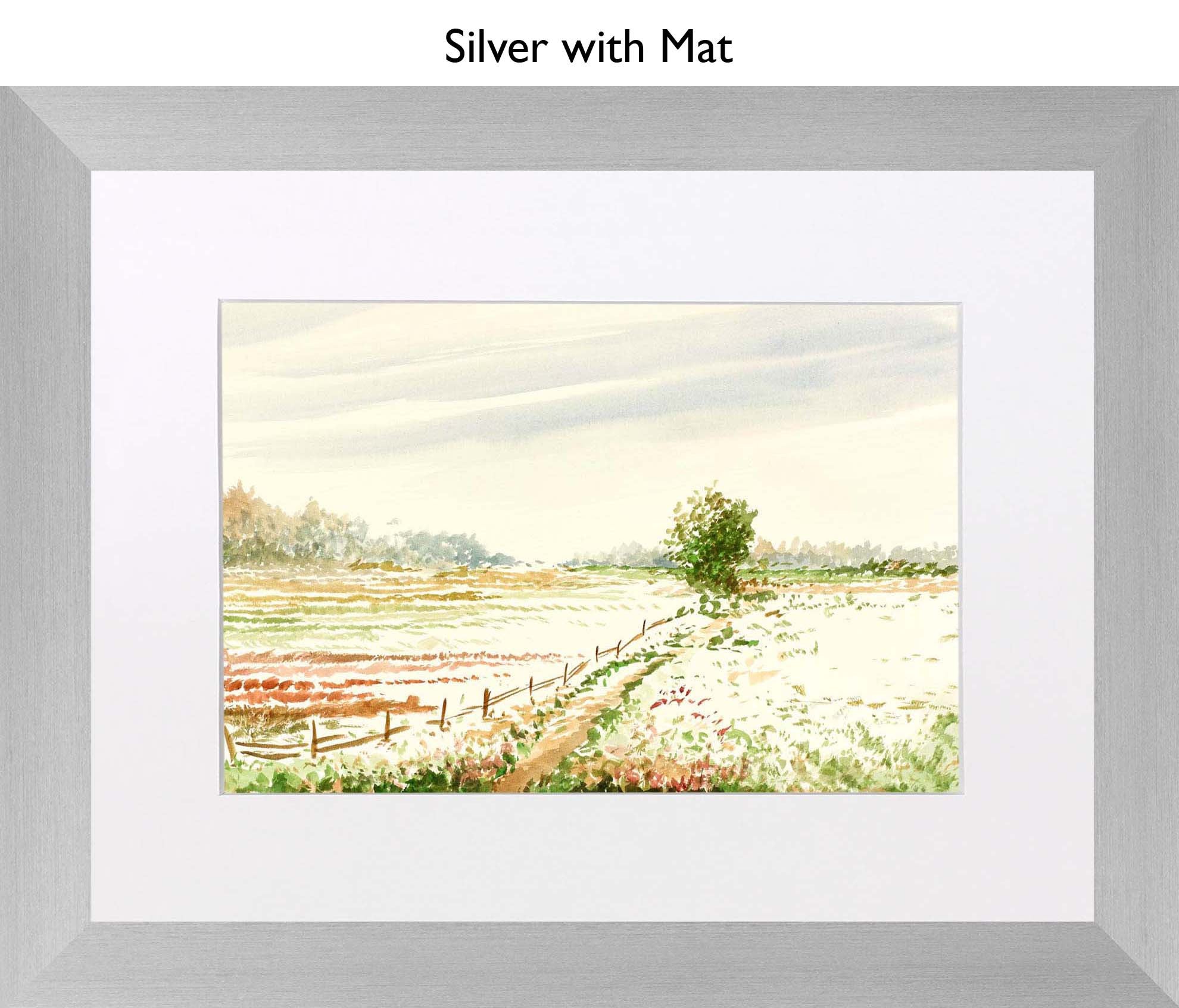 Silver With Mat
