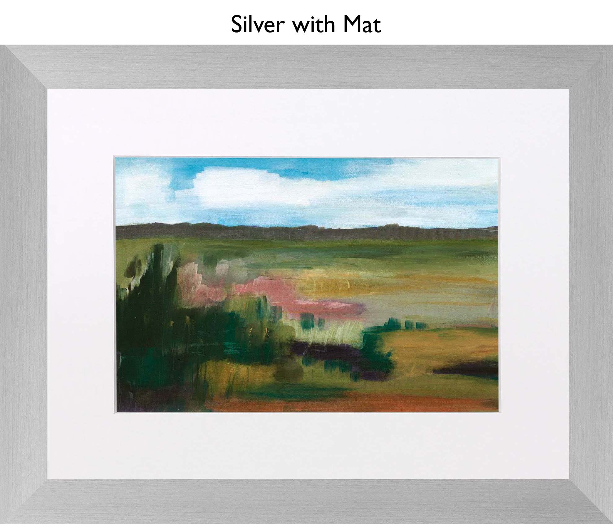 Silver With Mat