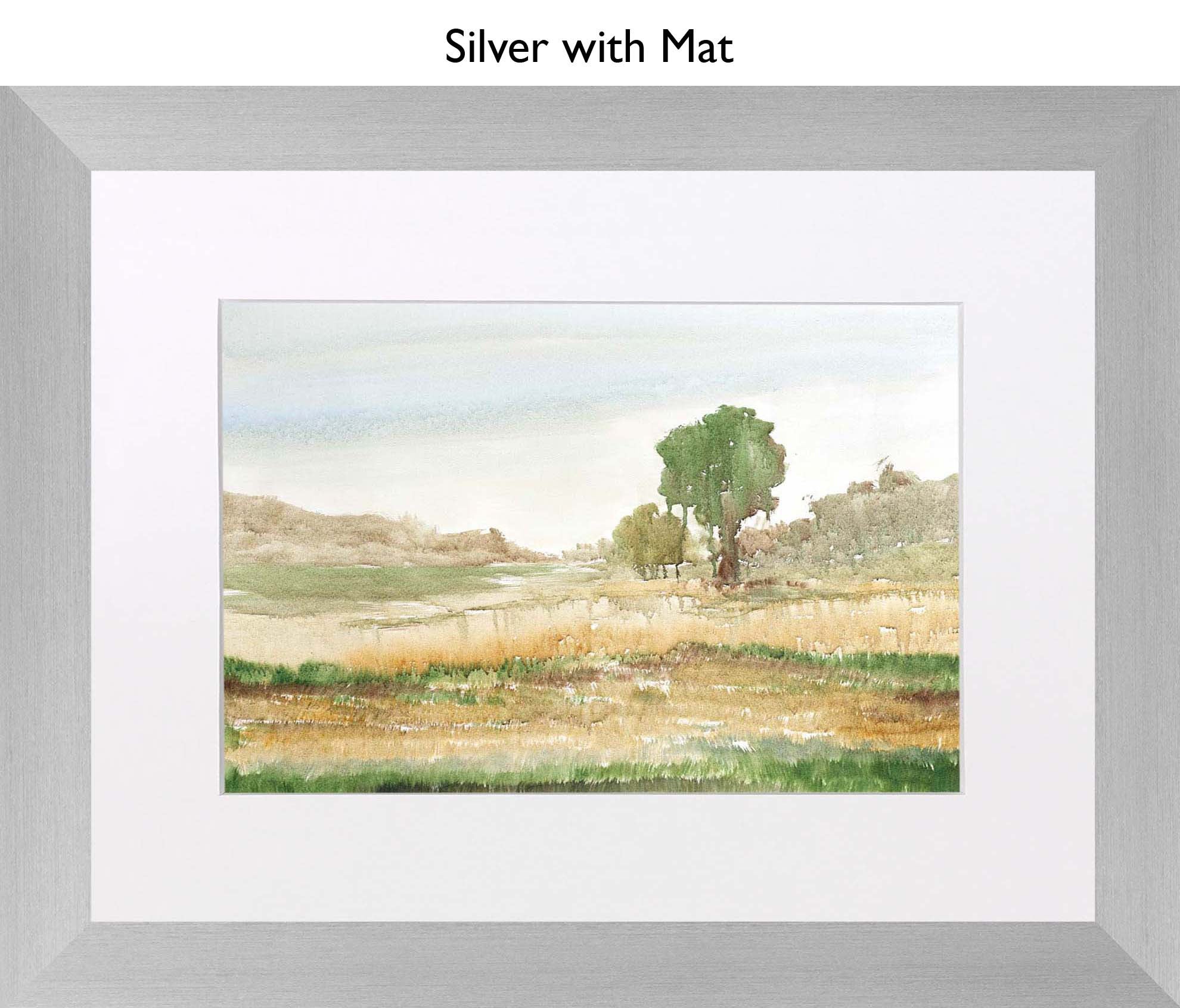 Silver With Mat