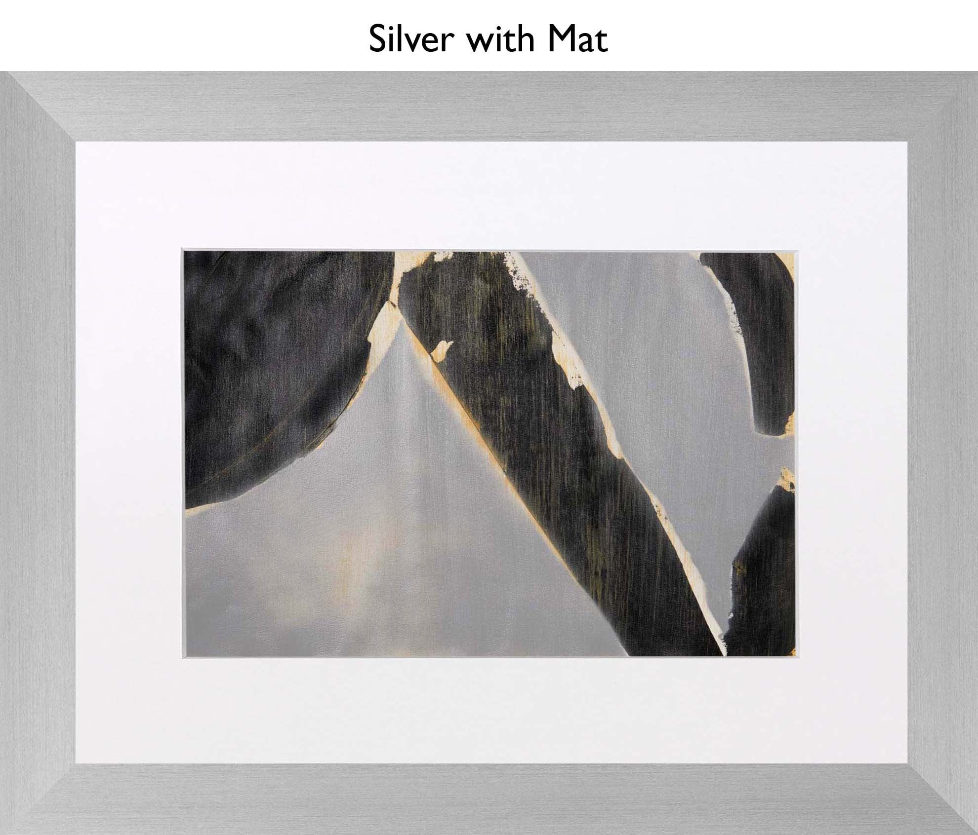 Silver With Mat