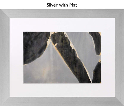 Silver With Mat