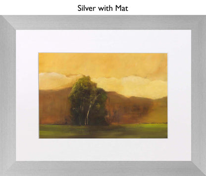 Silver With Mat