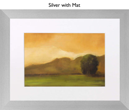 Silver With Mat