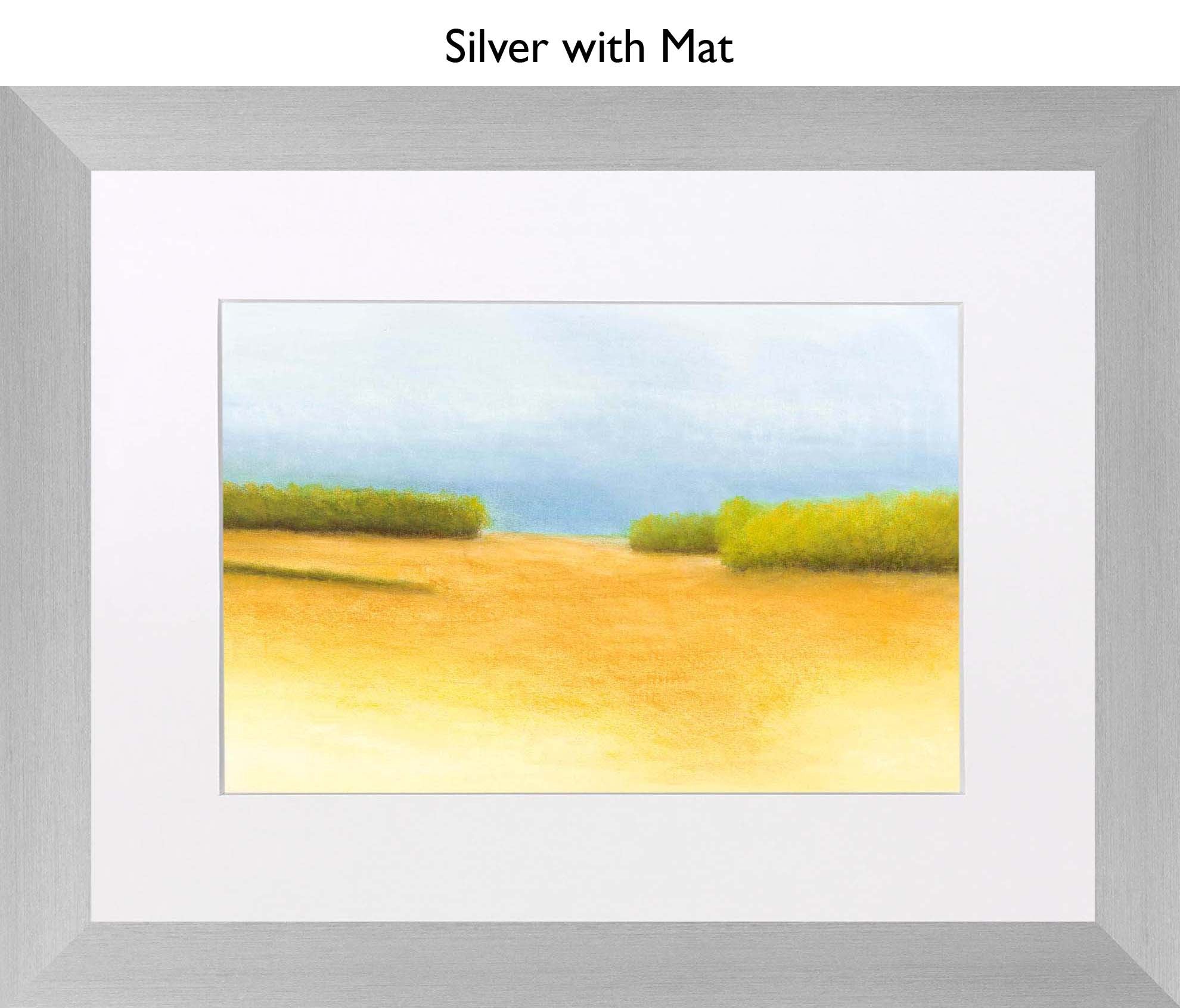 Silver With Mat