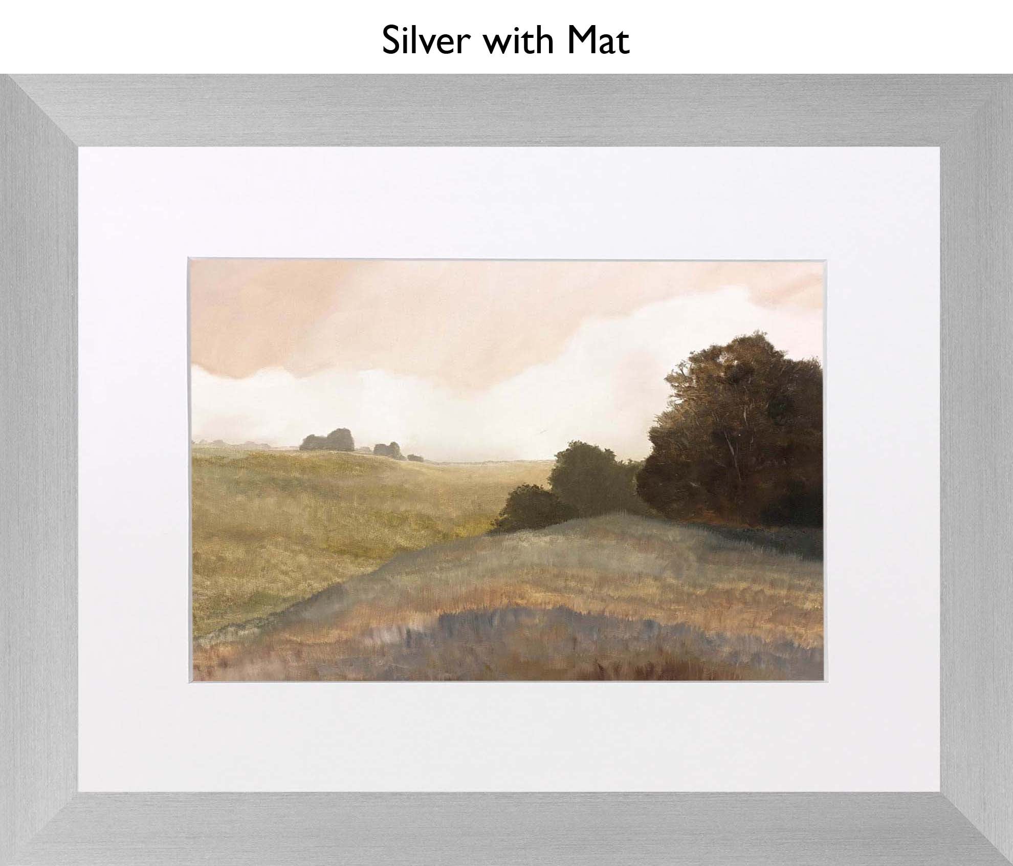 Silver With Mat