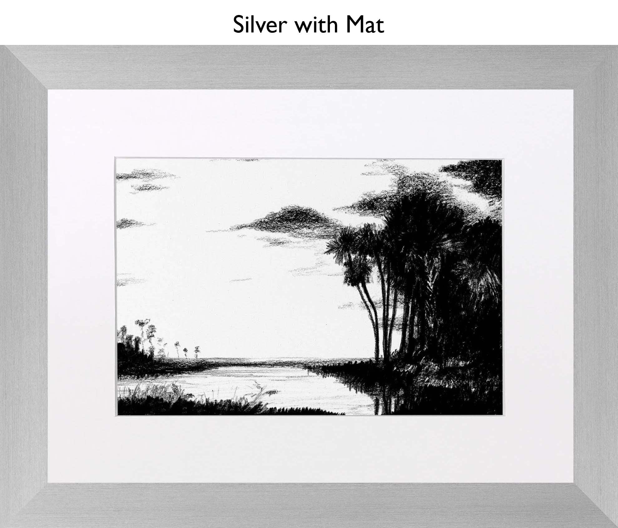 Silver With Mat