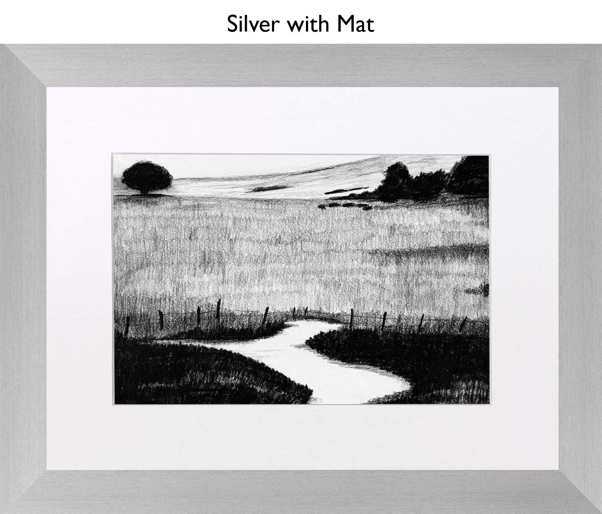 Silver With Mat