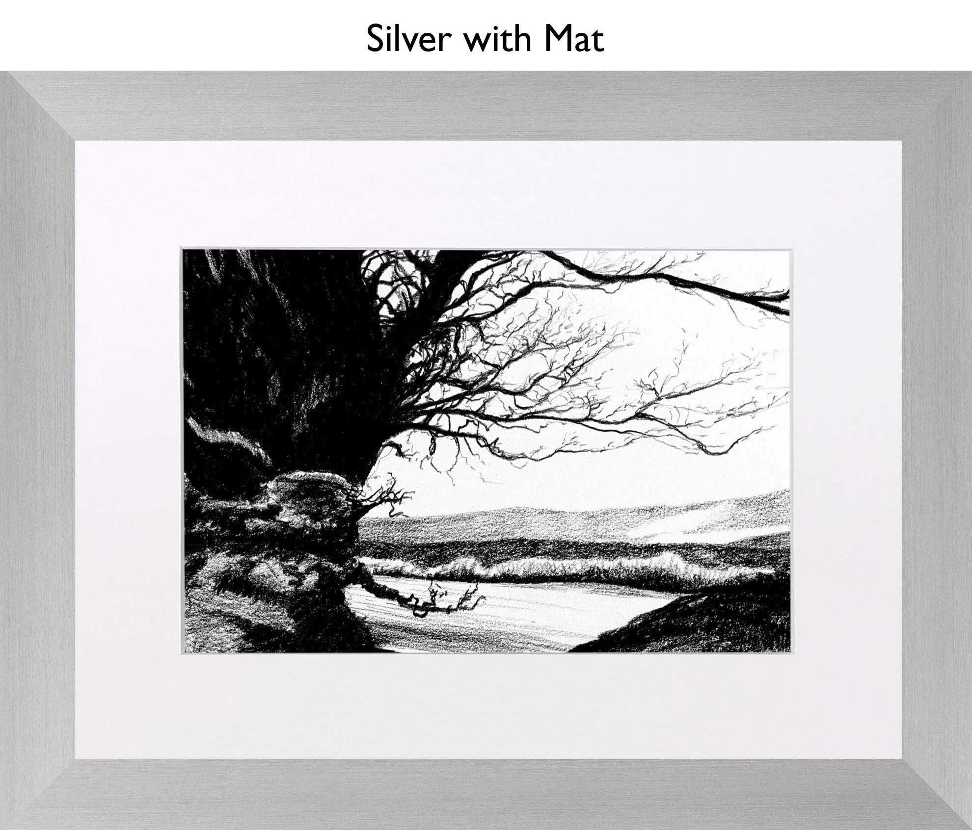 Silver With Mat