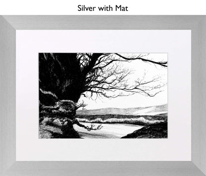Silver With Mat