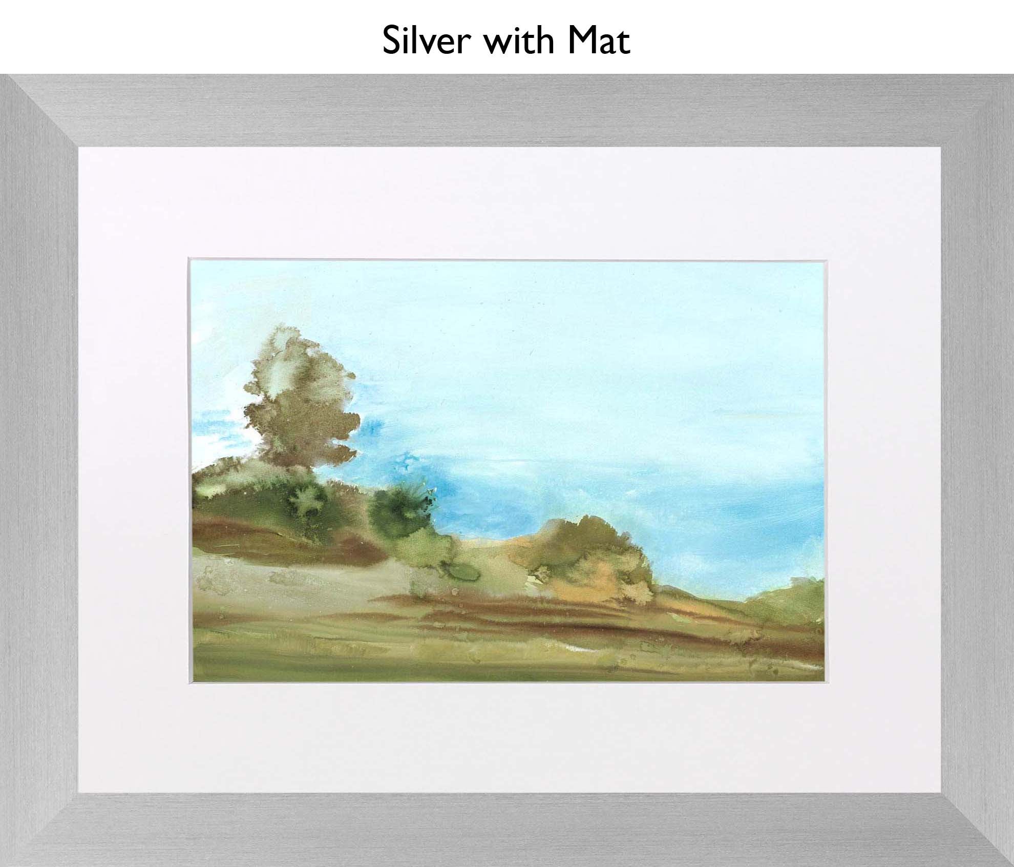 Silver With Mat