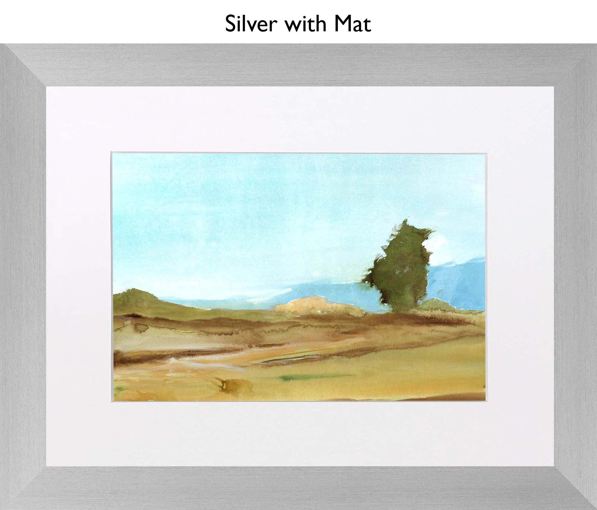 Silver With Mat