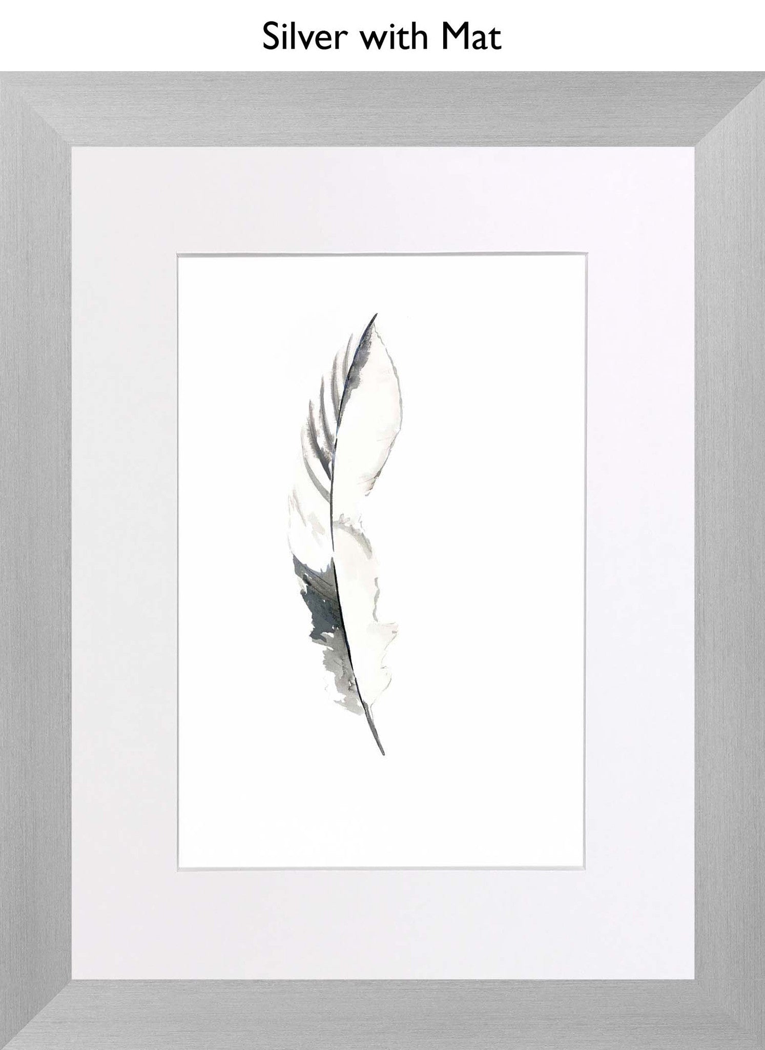 Silver With Mat