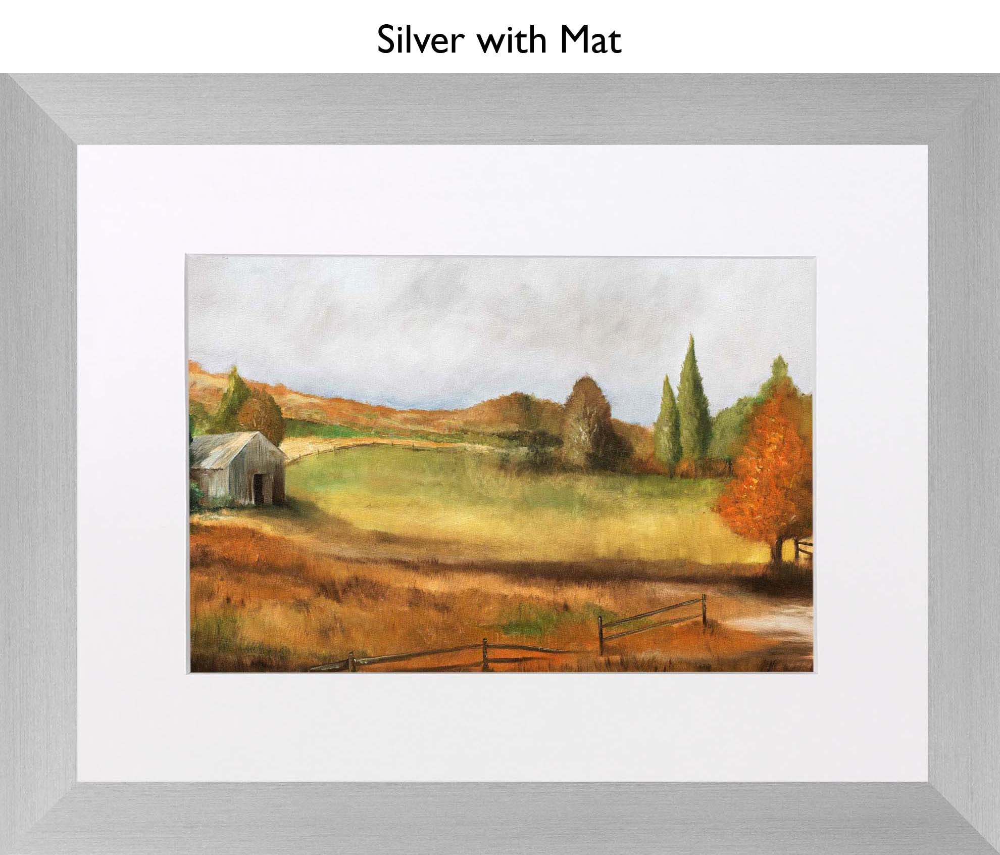Silver With Mat