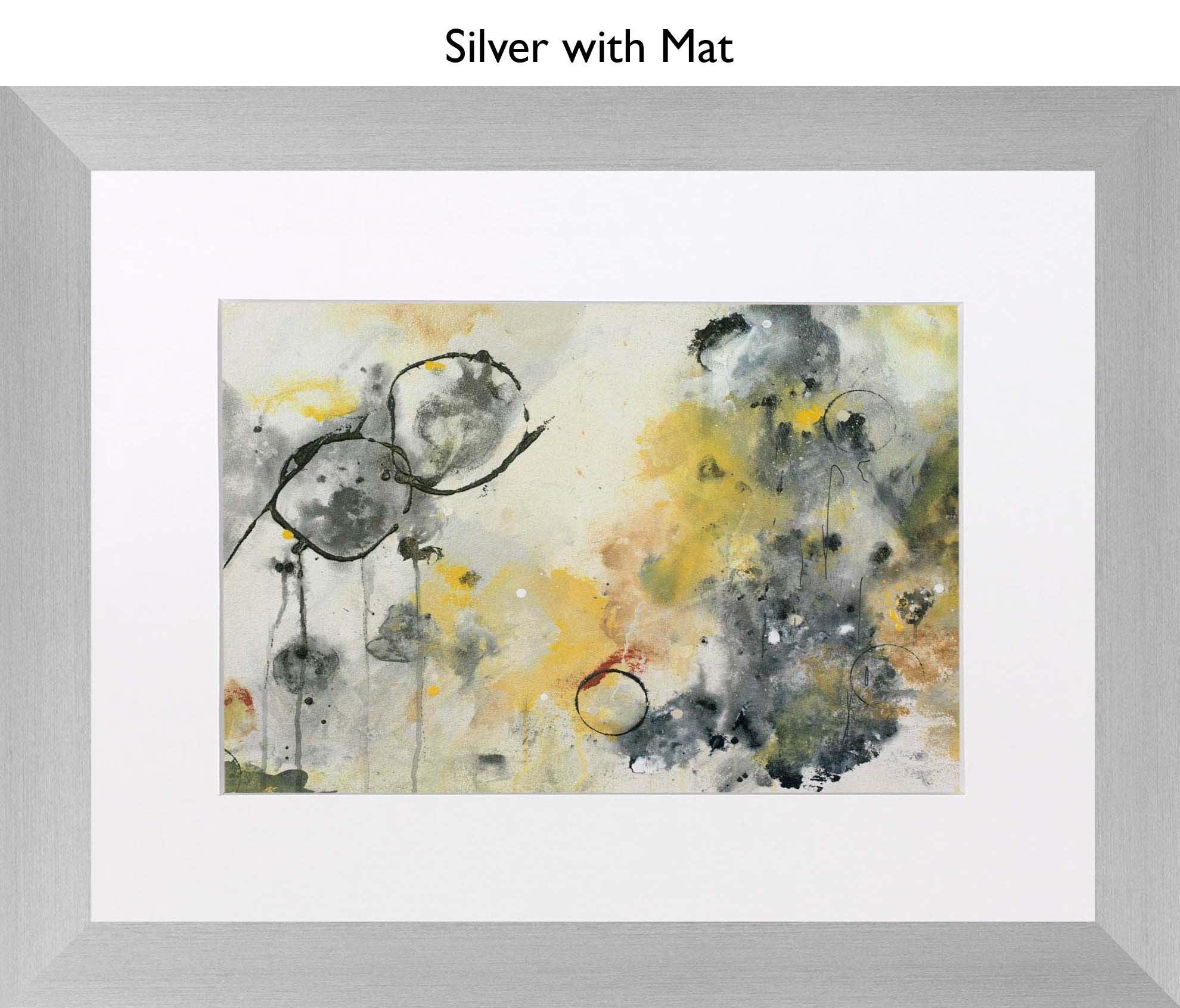Silver With Mat