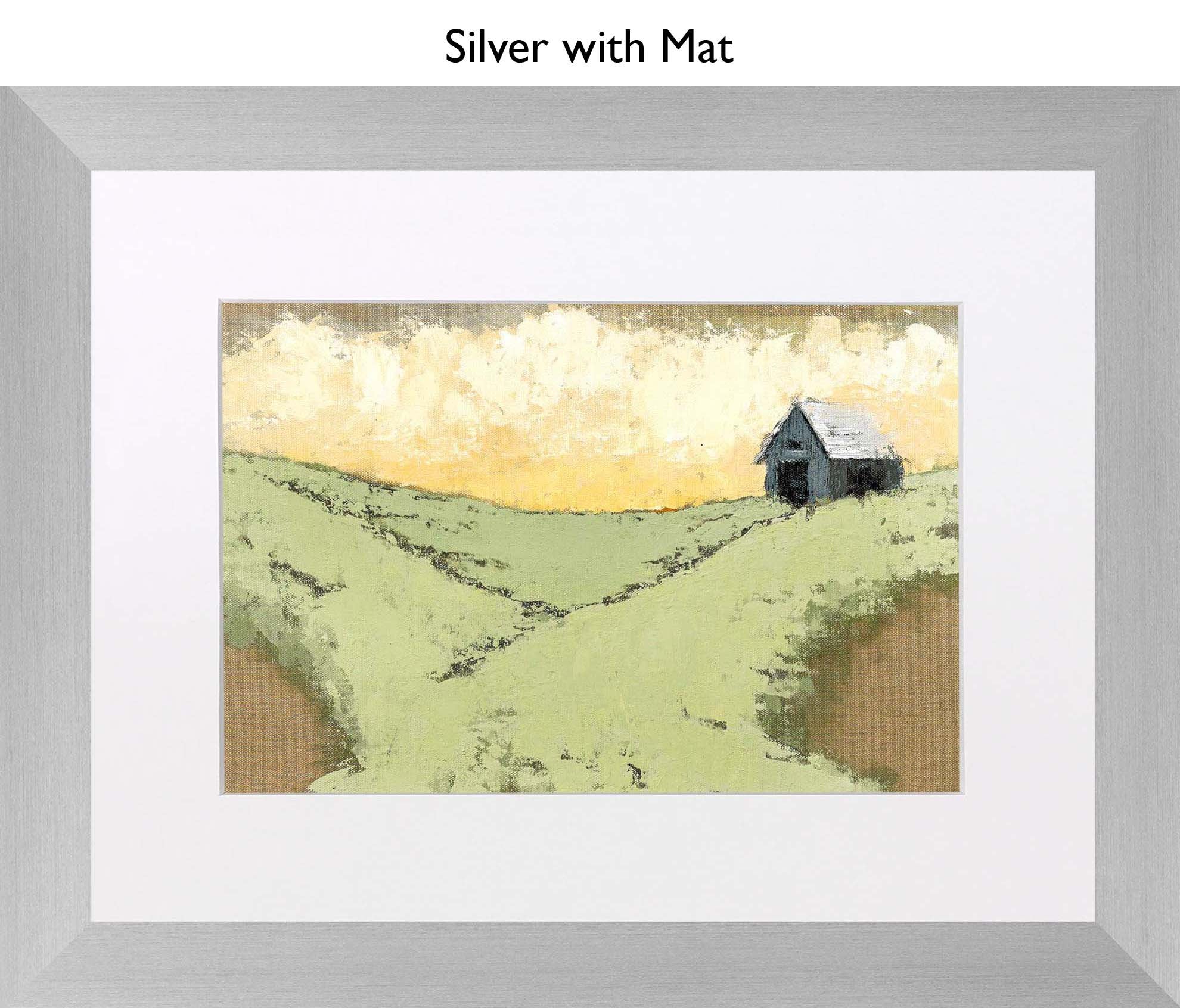 Silver With Mat