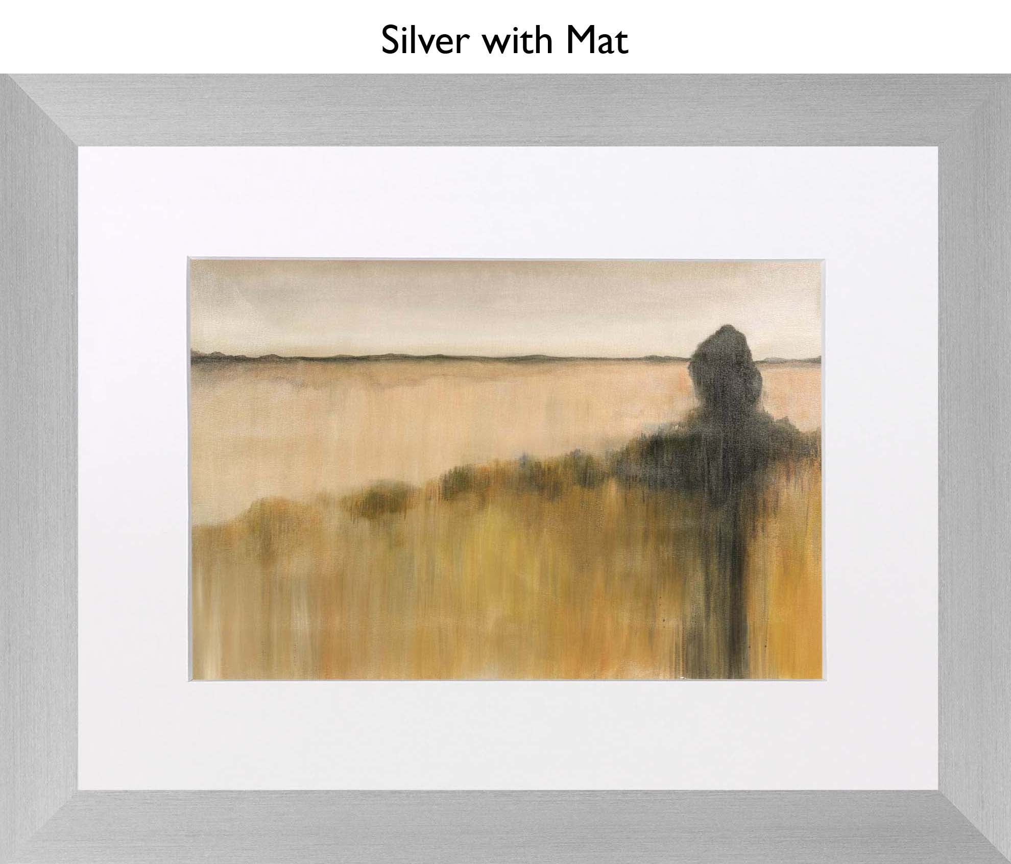Silver With Mat
