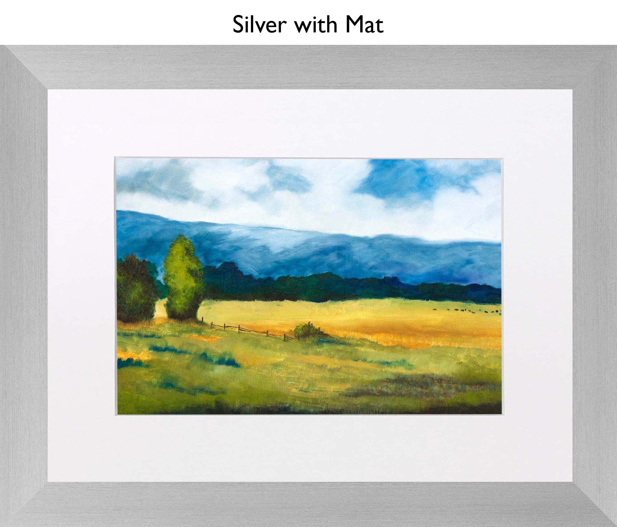 Silver With Mat