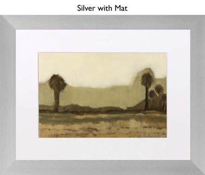 Silver With Mat