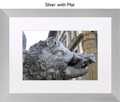 Silver With Mat