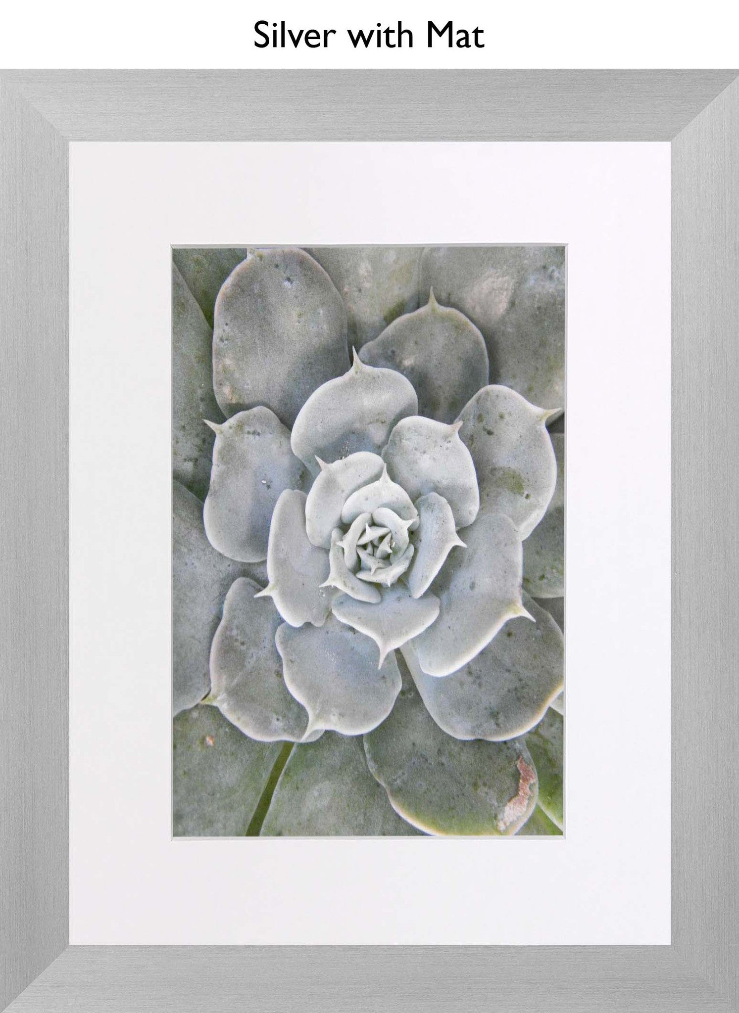 Silver With Mat