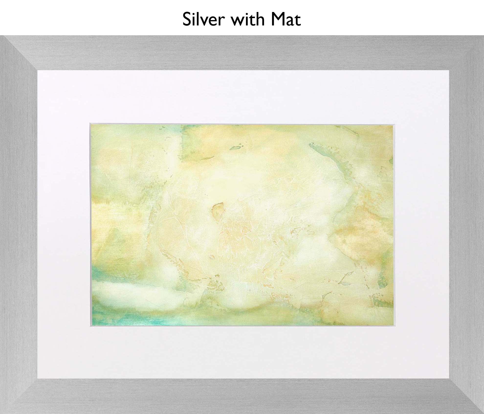 Silver With Mat