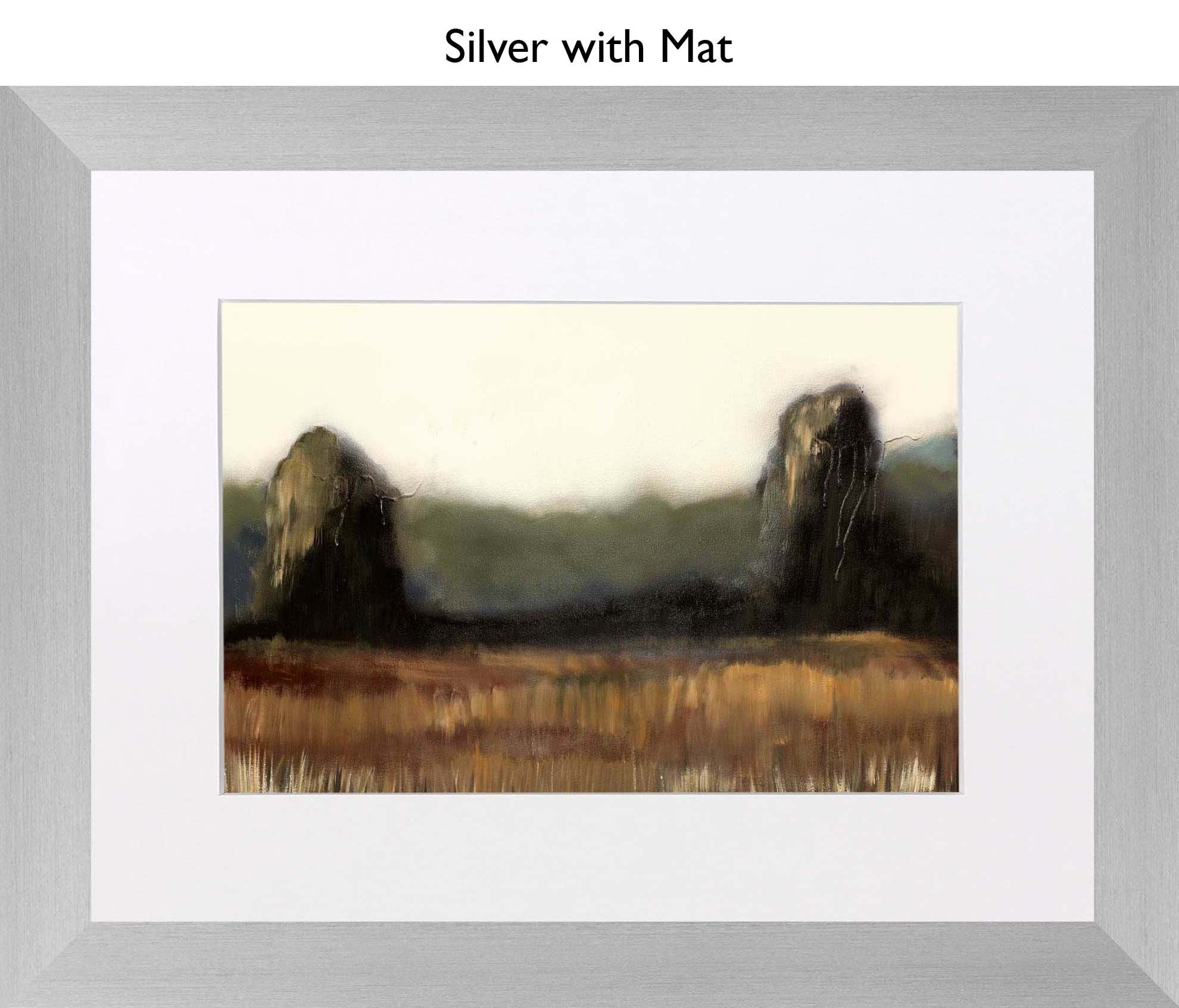 Silver With Mat