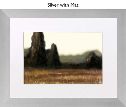 Silver With Mat