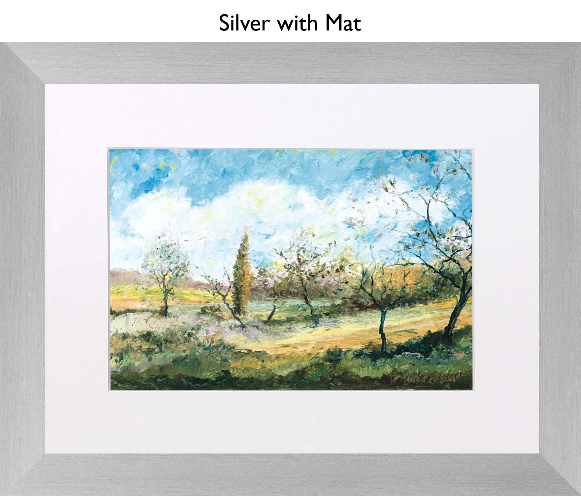 Silver With Mat