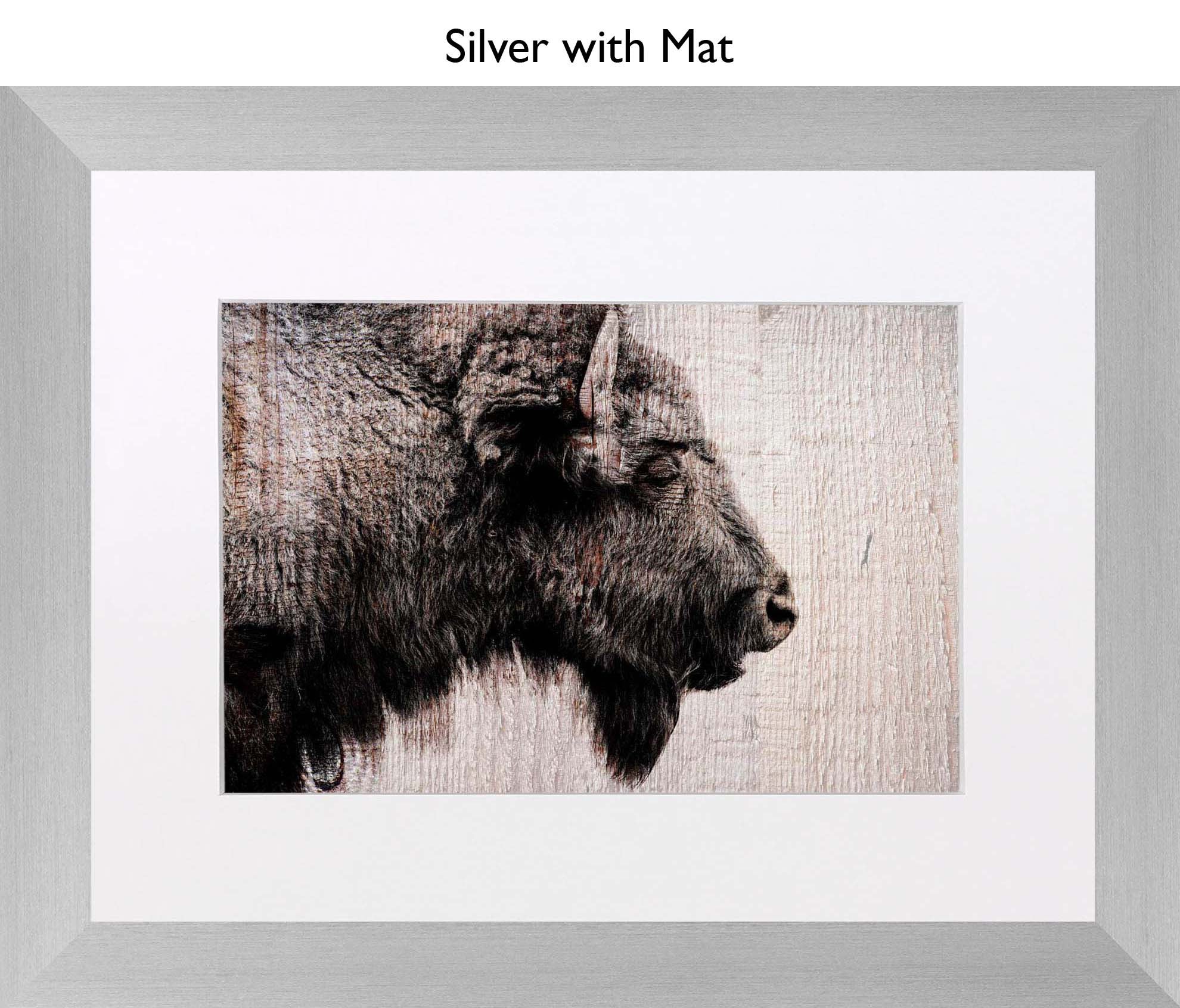 Silver With Mat