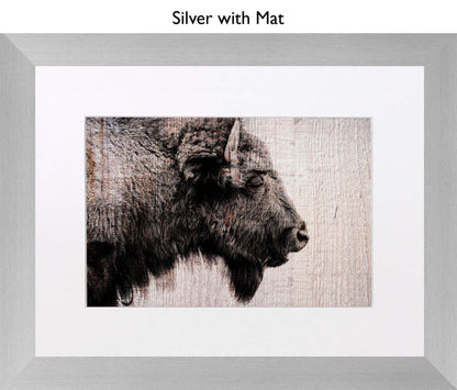 Silver With Mat